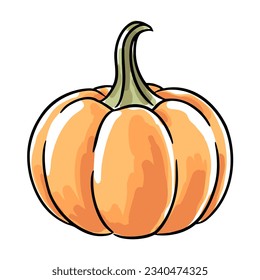 Hand-drawn pumpkin isolated on white background
