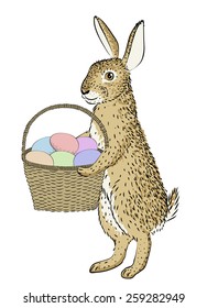 Hand-drawn rabbit and basket with eggs isolated on white