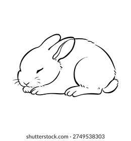 Hand-drawn rabbit line art illustrations. Cute bunny sketches. Minimalist vector clip art for Easter, pets, and nature-themed projects