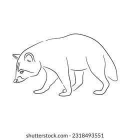 Hand-drawn Raccoon. Sketch vector illustration. 