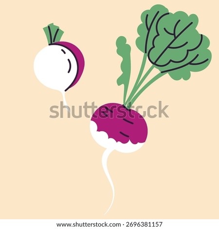 Hand-drawn radish illustration in flat, doodle, minimalist style. Simple vector design featuring whole radish, slices, and branches. Perfect for food packaging, kitchen prints, menus, and healthy 