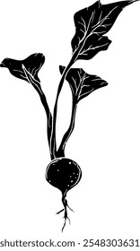 Hand-drawn radish silhouette, vegetable silhouette