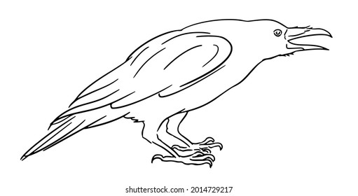 Hand-drawn raven with open beak