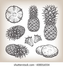 Hand-drawn realistic pineapple vector set in gray graphite colors. Ink drawn fruit set with big pineapple, small pineapple, pineapple slices and pineapple in different angles.