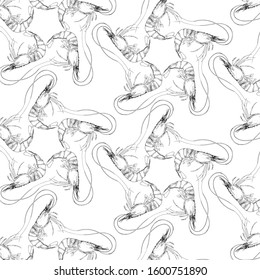 hand-drawn realistic sea prawns pattern