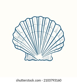 Hand-drawn realistic seashells. Shells of mollusks of various forms: coils, spirals, cone, scallops. Oceans nature in vintage style. 