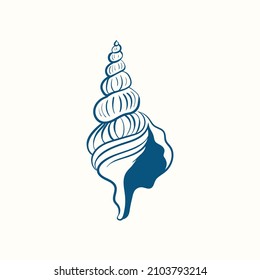 Camaradas realistas hechas a mano. Conchas de moluscos de diversas formas: bobinas, espirales, cono, vieiras. Naturaleza oceánica de estilo vintage. 