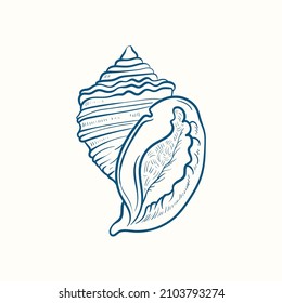 Hand-drawn realistic seashells. Shells of mollusks of various forms: coils, spirals, cone, scallops. Oceans nature in vintage style. 