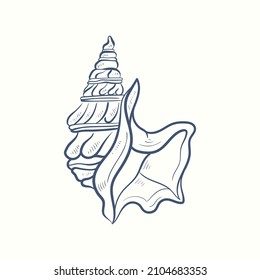 Hand-drawn realistic seashells. Shells of mollusks of various forms: coils, spirals, cone, scallops. Oceans nature in vintage style. 