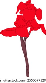 Desenhado à Mão de Red Canna Lily Flower Illustration