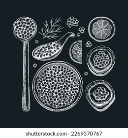 Hand-drawn red caviar sketches set isolated on chalkboard. Red caviar in opened tin can, caviar canape, lemons, dill vector drawings. Seafood delicacy illustrations for restaurant or finger food