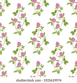 
Hand-drawn red clover on a white background  seamless pattern. Vector illustration of a melliferous flower. Floral background. Bee garden.
