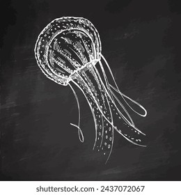 Hand-drawn red jellyfish. Vector sketch illustration. Sea collection. Engraved white illustrations isolated on chalkboard background.