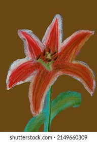 Hand-drawn red lily. The artwork was drawn with soft pastel chalk. The background is digital.