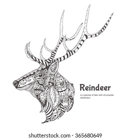 Hand-drawn reindeer with ethnic pattern. Coloring page - zendala, for  relaxation and meditation for adults, vector illustration, isolated on a white background. Zen doodle.