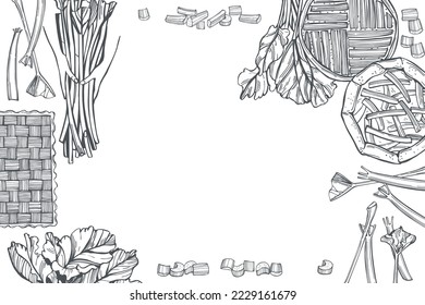 Hand-drawn rhubarb set.  Vector background. Sketch  illustration.  