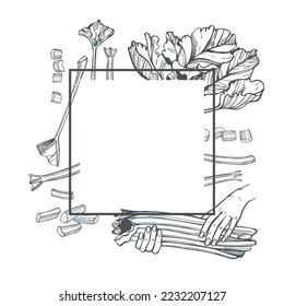 Hand-drawn rhubarb set.  Vector frame. Sketch  illustration.  