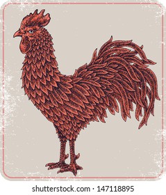 Hand-drawn rooster in red colour.