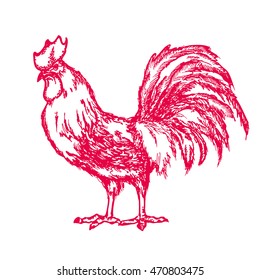 hand-drawn rooster. Vector Illustration