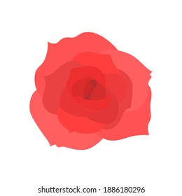 A hand-drawn rose isolated on a white background. Element for creating a design for Valentine's Day.