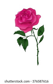 Hand-drawn rose on a white background. Vector illustration