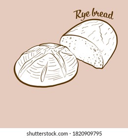Hand-drawn Rye bread bread illustration. Leavened, usually known in Europe, America, Israel. Vector drawing series.