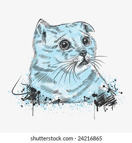 Hand-drawn sad cat. Vector illustration.