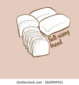 Hand-drawn Salt-rising bread bread illustration. Leavened, usually known in United States. Vector drawing series.