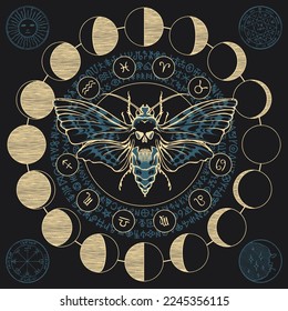 Hand-drawn scary butterfly moth dead head on the background of magical symbols of the all-seeing eye and zodiac signs, moon phases in a circle. Witchcraft, occult attributes, alchemical signs.