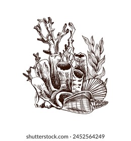 Hand-drawn sea composition from seashells, algae, shells, corals. Black and white vector sketch of underwater creatures. Engraved water element. Sea collection.