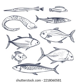 Hand-drawn sea fish. Vector sketch  illustration.