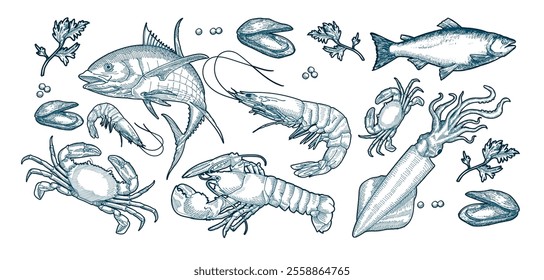 Hand-drawn seafoods illustration in white background, vector drawing