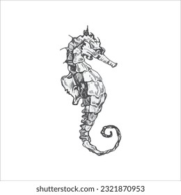 Handdrawn seahorse illustration, sea animal, sea, ocean, fish, sushi, drawing