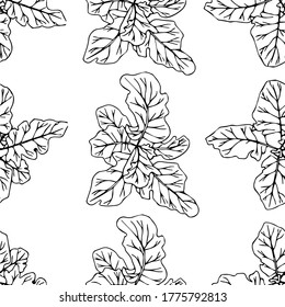 Hand-drawn seamless image of beet leaves (top view). Black and white  image. The idea for children's creativity, wallpaper, packaging, textiles. Isolated on a white background.