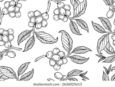 Hand-drawn seamless pattern of coffee fruit branches with intricate black and white line art details, showcasing unripe berries and leaves.