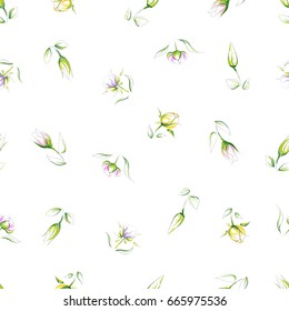 Hand-drawn seamless pattern of different types of beautiful delicate flowers on a white background