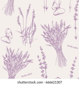 Hand-drawn seamless pattern of Lavender. Vector