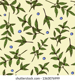 hand-drawn seamless pattern with leaves and berries. Vector illustration