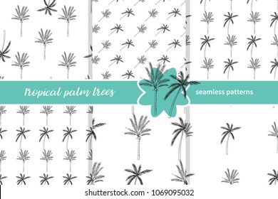 Hand-drawn seamless pattern with palm trees, isolated on white background. Abstract summer Vector illustration.