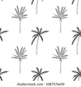 Hand-drawn seamless pattern with palm trees, isolated on white background. Abstract summer Vector illustration.