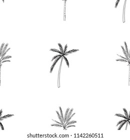 Hand-drawn seamless pattern with palm trees, isolated on white background. Abstract summer Vector illustration.