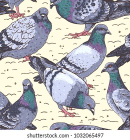 Hand-drawn seamless pattern with pigeons, Urban birds