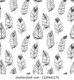 Hand-drawn seamless pattern with Sketch style bird feathers. Black and white title background. Trendy boho chic. Tribal template