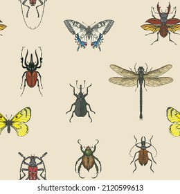 Hand-drawn seamless pattern with various insects. Colored vector background with butterflies, beetles, dragonfly on an old paper backdrop. Suitable for wallpaper, wrapping paper or fabric design