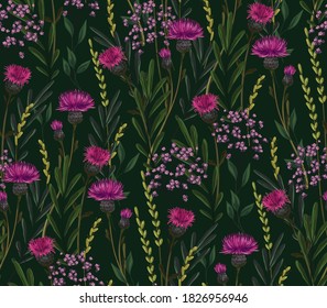 Hand-drawn seamless vector pattern. Dense thickets of field and meadow plants: grasses, foliage, Thistle flowers, small purple flowers. Dark background.