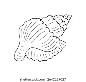Hand-drawn seashell illustration in black and white. Perfect for beach-themed designs, coloring pages, summer decor, or ocean-related graphics.