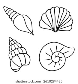 Hand-drawn Seashell Illustrations in Line Art