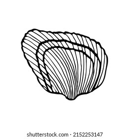Hand-drawn seashell spiral, isolated black outline on white background.