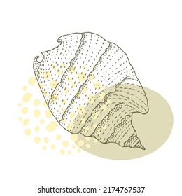 Handgezeichnete Muschelspirale mit einer Textur von vielen Punkten.
