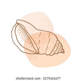 Hand-drawn seashell spiral with a texture of many dots.